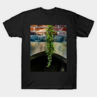 Hanging Down T-Shirt